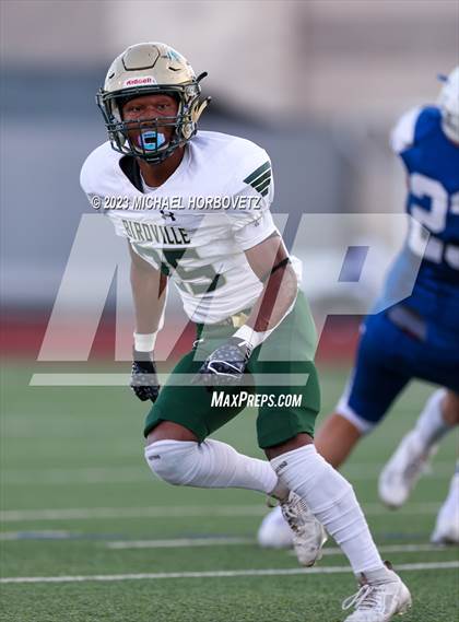 Thumbnail 1 in Birdville @ Turner photogallery.