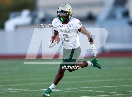 Thumbnail 2 in Birdville @ Turner photogallery.