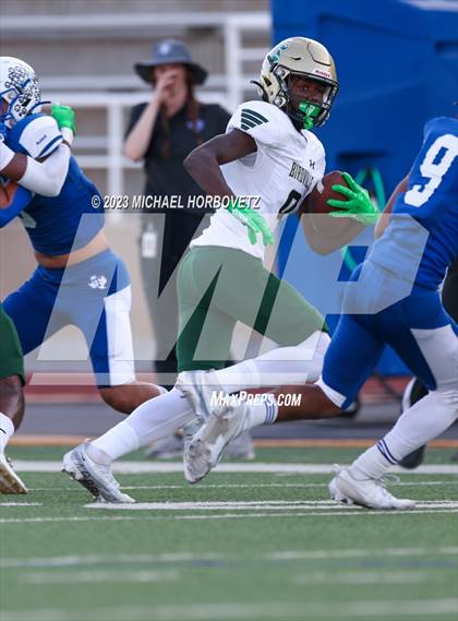 Thumbnail 3 in Birdville @ Turner photogallery.