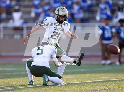 Thumbnail 1 in Birdville @ Turner photogallery.
