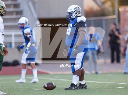 Thumbnail 1 in Birdville @ Turner photogallery.