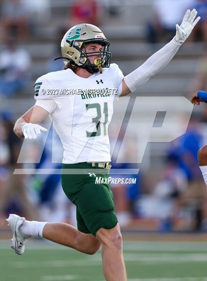 Thumbnail 1 in Birdville @ Turner photogallery.
