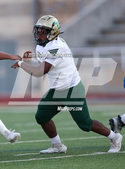 Thumbnail 3 in Birdville @ Turner photogallery.