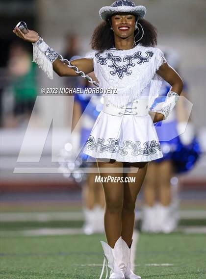 Thumbnail 3 in Birdville @ Turner photogallery.