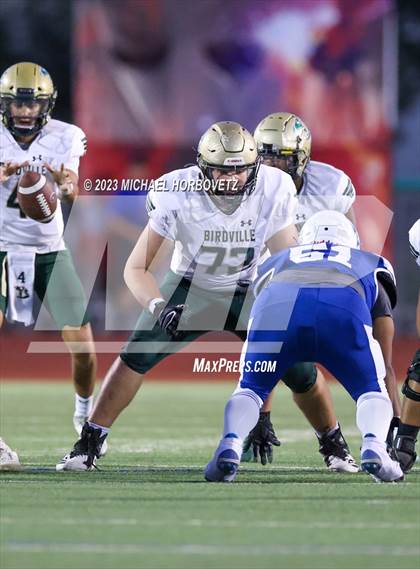 Thumbnail 1 in Birdville @ Turner photogallery.