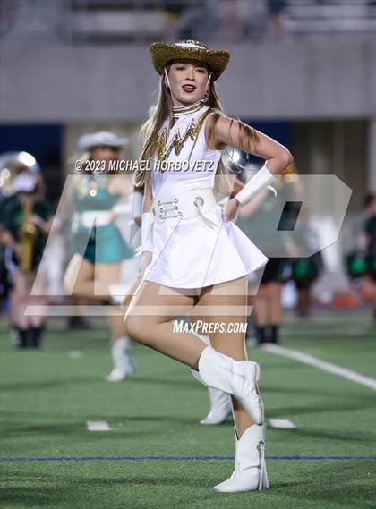 Thumbnail 2 in Birdville @ Turner photogallery.