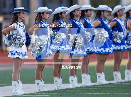Thumbnail 3 in Birdville @ Turner photogallery.