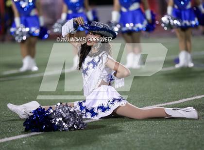 Thumbnail 1 in Birdville @ Turner photogallery.
