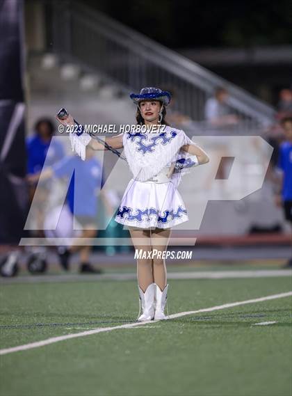 Thumbnail 3 in Birdville @ Turner photogallery.