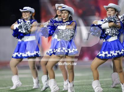 Thumbnail 1 in Birdville @ Turner photogallery.