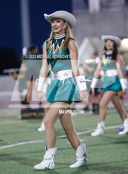 Thumbnail 1 in Birdville @ Turner photogallery.