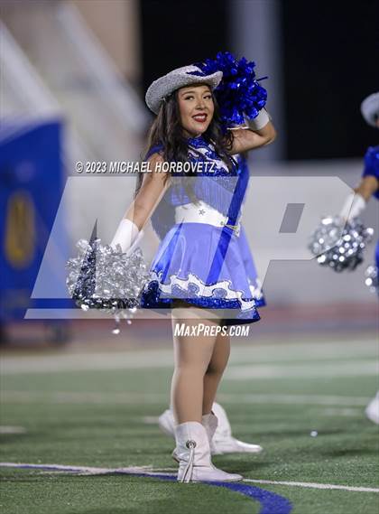 Thumbnail 3 in Birdville @ Turner photogallery.