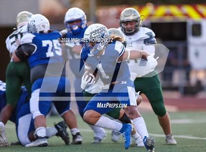 Thumbnail 3 in Birdville @ Turner photogallery.