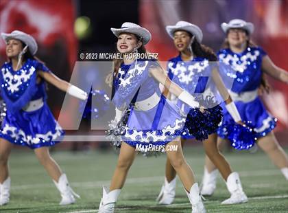 Thumbnail 3 in Birdville @ Turner photogallery.