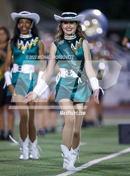 Thumbnail 1 in Birdville @ Turner photogallery.