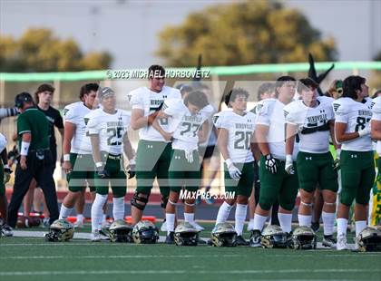 Thumbnail 1 in Birdville @ Turner photogallery.