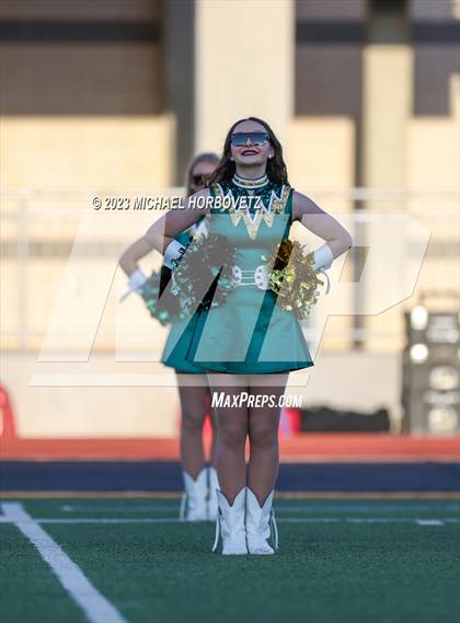 Thumbnail 2 in Birdville @ Turner photogallery.
