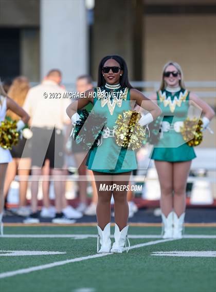 Thumbnail 1 in Birdville @ Turner photogallery.