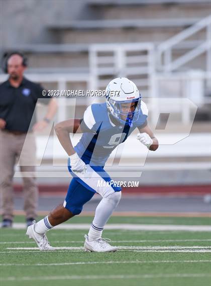 Thumbnail 1 in Birdville @ Turner photogallery.