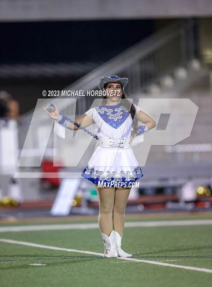 Thumbnail 2 in Birdville @ Turner photogallery.