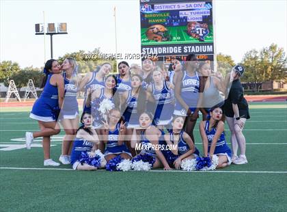 Thumbnail 2 in Birdville @ Turner photogallery.
