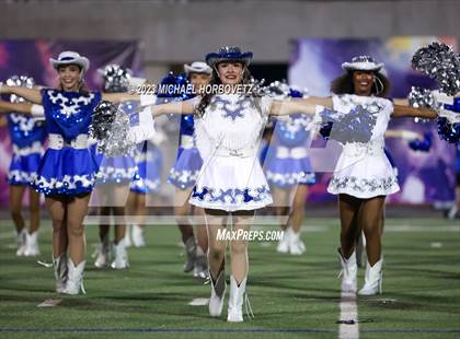 Thumbnail 2 in Birdville @ Turner photogallery.
