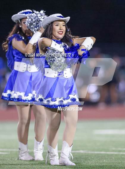 Thumbnail 1 in Birdville @ Turner photogallery.