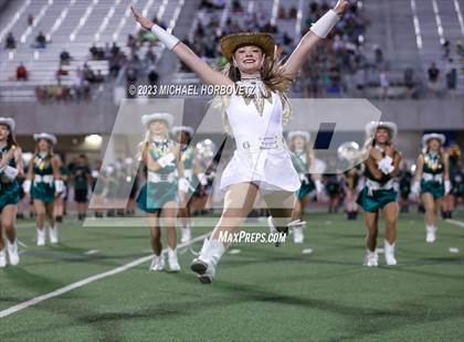 Thumbnail 2 in Birdville @ Turner photogallery.