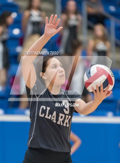 Thumbnail 3 in Clark @ Brandeis photogallery.
