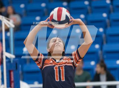 Thumbnail 2 in Clark @ Brandeis photogallery.
