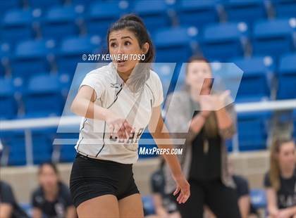 Thumbnail 2 in Clark @ Brandeis photogallery.