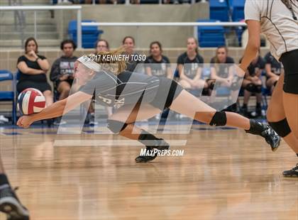 Thumbnail 1 in Clark @ Brandeis photogallery.
