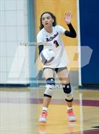 Photo from the gallery "Buena @ McClintock"