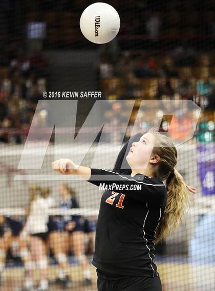 Thumbnail 2 in Springfield vs. Kiowa (CHSAA 1A Quarterfinal) photogallery.