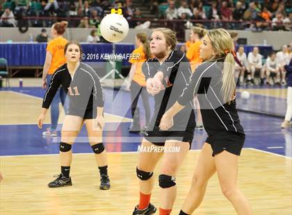 Thumbnail 2 in Springfield vs. Kiowa (CHSAA 1A Quarterfinal) photogallery.