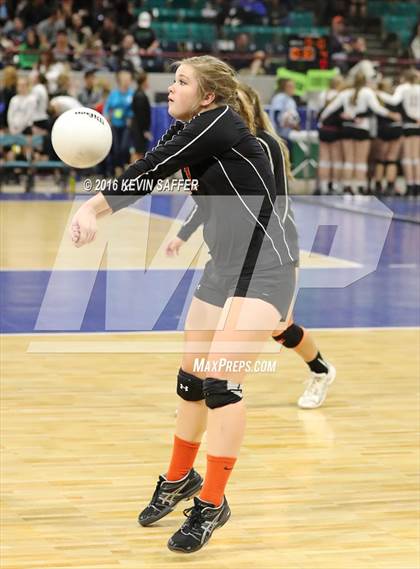 Thumbnail 1 in Springfield vs. Kiowa (CHSAA 1A Quarterfinal) photogallery.