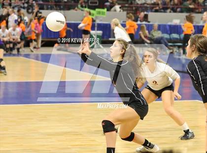 Thumbnail 2 in Springfield vs. Kiowa (CHSAA 1A Quarterfinal) photogallery.