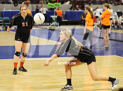 Thumbnail 3 in Springfield vs. Kiowa (CHSAA 1A Quarterfinal) photogallery.