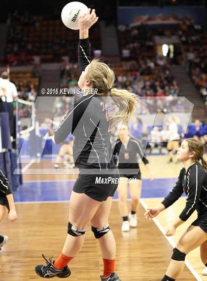 Thumbnail 1 in Springfield vs. Kiowa (CHSAA 1A Quarterfinal) photogallery.