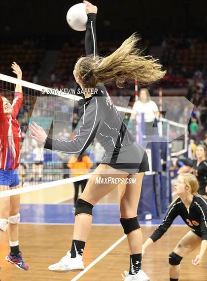 Thumbnail 1 in Springfield vs. Kiowa (CHSAA 1A Quarterfinal) photogallery.