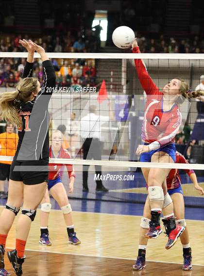 Thumbnail 1 in Springfield vs. Kiowa (CHSAA 1A Quarterfinal) photogallery.