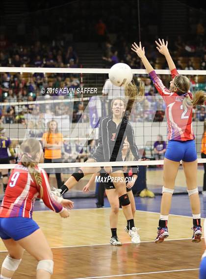 Thumbnail 3 in Springfield vs. Kiowa (CHSAA 1A Quarterfinal) photogallery.