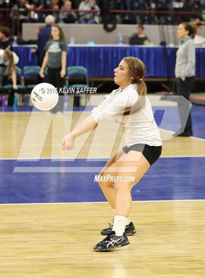 Thumbnail 1 in Springfield vs. Kiowa (CHSAA 1A Quarterfinal) photogallery.