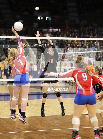 Thumbnail 1 in Springfield vs. Kiowa (CHSAA 1A Quarterfinal) photogallery.