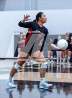 Photo from the gallery "Troy @ Sonora"