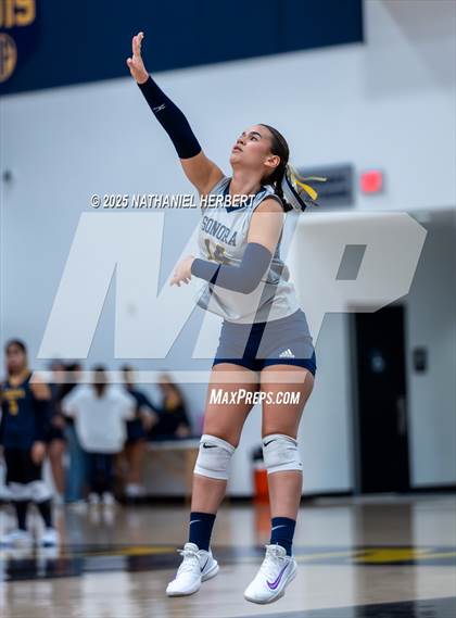 Thumbnail 3 in Troy @ Sonora photogallery.