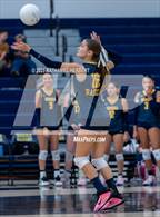 Photo from the gallery "Troy @ Sonora"