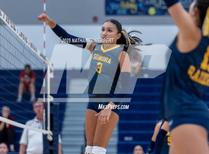 Thumbnail 3 in Troy @ Sonora photogallery.