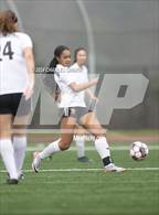 Photo from the gallery "Lick-Wilmerding @ San Domenico"