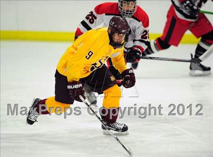 Thumbnail 3 in St. Joseph @ Warde/Ludlowe  photogallery.